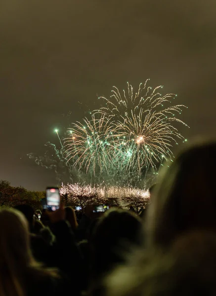 Photo Fireworks Witnessed People Gathered Park Celebrating New Years Eve — Fotografia de Stock