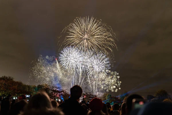 Photo Fireworks Witnessed People Gathered Park Celebrating New Years Eve — Stock Fotó