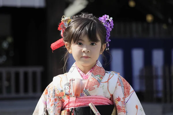 Chica Japonesa Festival Seven Five Three Santuario Años Edad — Foto de Stock