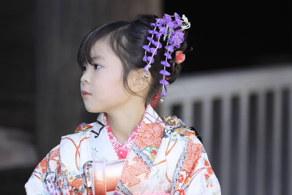 Chica Japonesa Festival Seven Five Three Santuario Años Edad — Foto de Stock