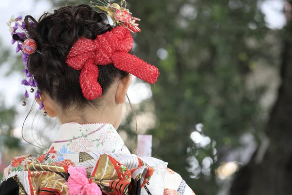 Japonská Dívka Festivalu Seven Five Three Svatyni Zezadu Let — Stock fotografie