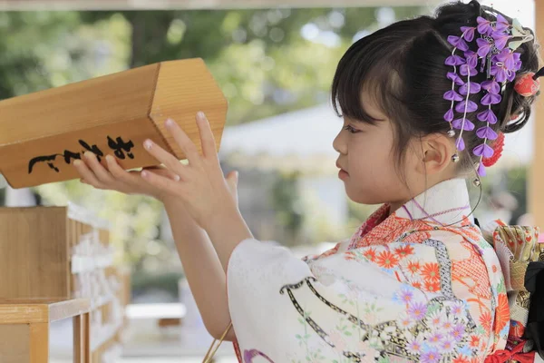 Japonská Dívka Kreslí Omikuji Sedm Pět Tři Festivalové Látky Let — Stock fotografie