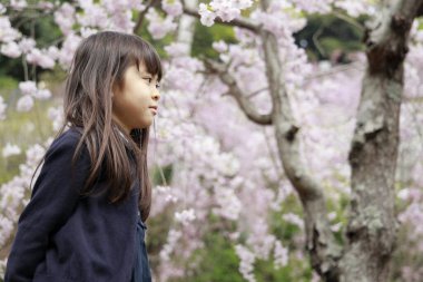 Japon kız ve kiraz çiçekleri (7 yaşında))