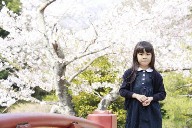 Japon kız ve kiraz çiçekleri (7 yaşında))