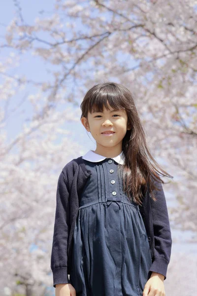 Japanese Girl Cherry Blossoms Years Old — ストック写真