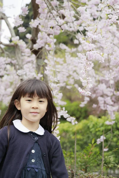 Japon kız ve kiraz çiçekleri (7 yaşında))