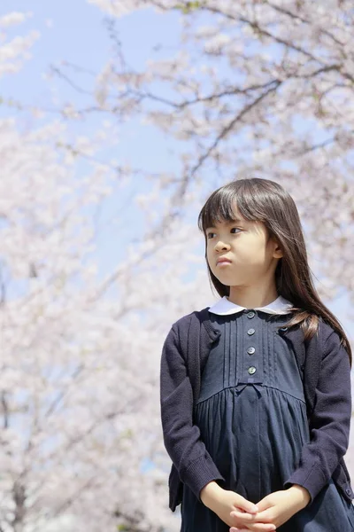 Menina Japonesa Flores Cereja Anos — Fotografia de Stock