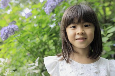 Japon kız ve ortanca (7 yaşında) (mor))