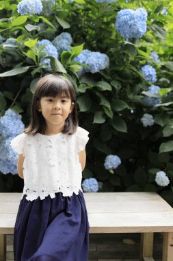 Japon kız ve ortanca (7 yaşında) (mavi))