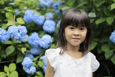 Japon kız ve ortanca (7 yaşında) (mavi))