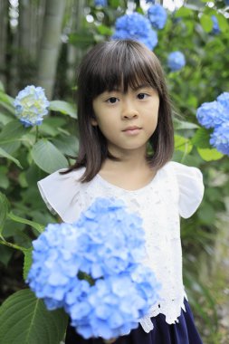 Japon kız ve ortanca (7 yaşında) (mavi))