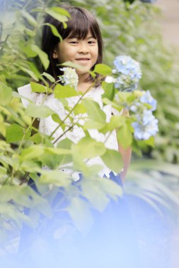 Japon kız ve ortanca (7 yaşında) (mavi))