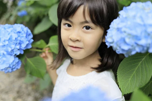 Menina Japonesa Hortênsia Anos Azul — Fotografia de Stock