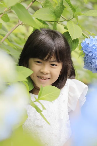 Японська Дівчинка Гідрангея Років Синій Колір — стокове фото