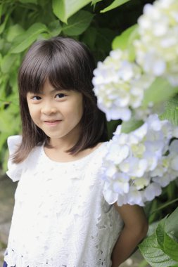 Japon kız ve ortanca (7 yaşında) (beyaz))
