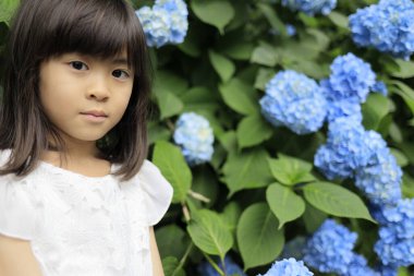 Japon kız ve ortanca (7 yaşında) (mavi))