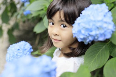 Japon kız ve ortanca (7 yaşında) (mavi))