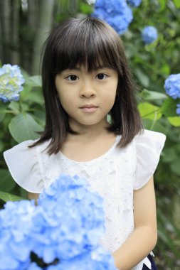 Japon kız ve ortanca (7 yaşında) (mavi))