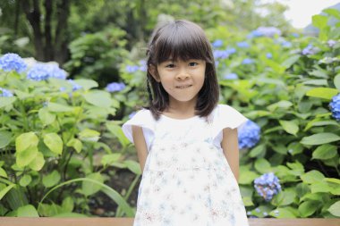 Japon kız ve ortanca (7 yaşında) (mavi))