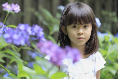 Japon kız ve ortanca (7 yaşında) (mor))