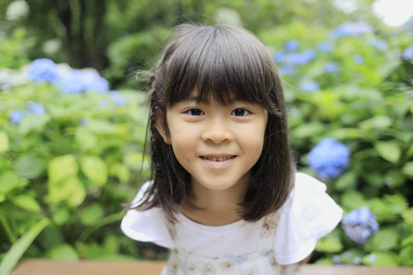 Japon Kız Ortanca Yaşında Mavi — Stok fotoğraf