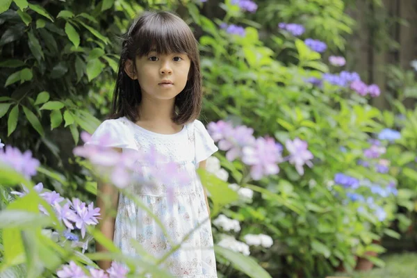 Japon kız ve ortanca (7 yaşında) (mor))