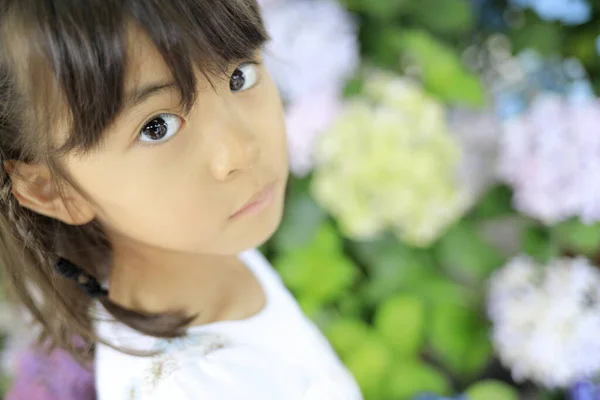 Japonská Dívka Hortenzie Let — Stock fotografie