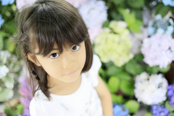 Japon kız ve ortanca (7 yaşında))