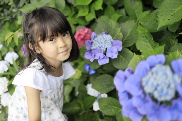 Japanese Girl Hydrangea Years Old — Stock Photo, Image