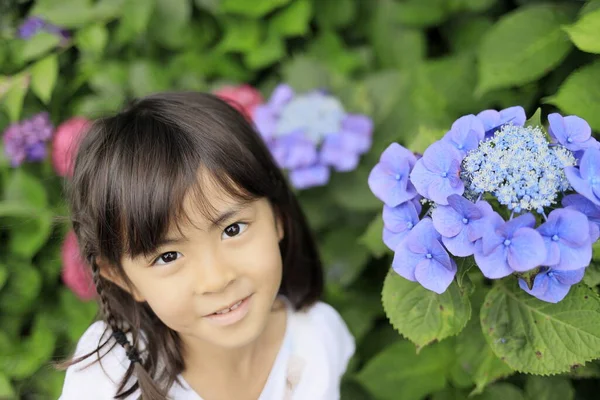 Japon Kız Ortanca Yaşında — Stok fotoğraf