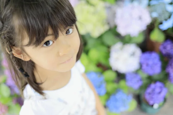 Japanese Girl Hydrangea Years Old — Stock Photo, Image