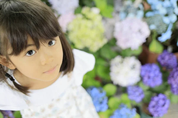 Japansk Flicka Och Hortensia Gammal — Stockfoto