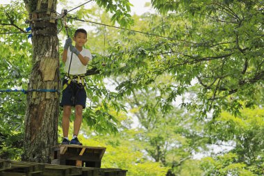 Japanese junior high school student playing zip line at outdoor obstacle course on tree (12 years old)