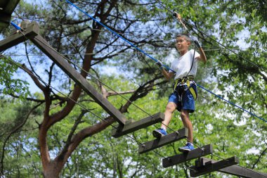 Japanese junior high school student playing at outdoor obstacle course on tree (12 years old)