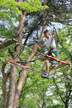Japanese junior high school student playing at outdoor obstacle course on tree (12 years old)