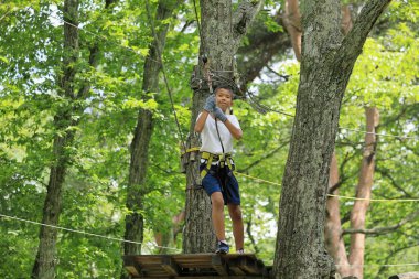 Japanese junior high school student playing zip line at outdoor obstacle course on tree (12 years old)
