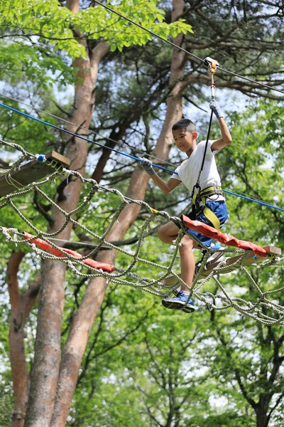 Japanese Junior High School Student Playing Outdoor Obstacle Course Tree — Stock Fotó