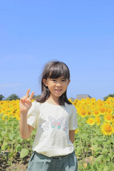 Japanese Girl Sunflower Field Years Old White — 스톡 사진