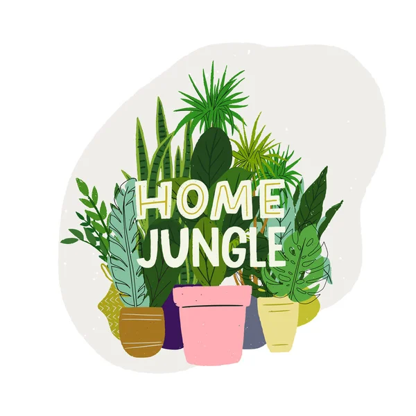 Patrón Sin Costuras Con Plantas Interior Dibujadas Mano Diseño Fondo — Vector de stock