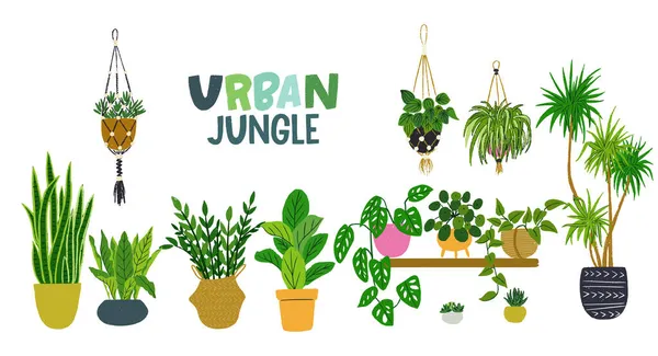 Nahtloses Muster Mit Handgezeichneten Zimmerpflanzen Urbanes Dschungel Tapeten Design Topfpflanzen — Stockvektor