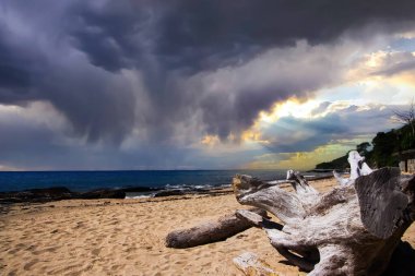 Yağmur mevsiminde Ko Chang, Tayland 'da (ağaç gövdesine odaklan) dramatik gökyüzü ve kara bulutları kıran güneş ışınları ile yapayalnız kumsaldaki ağaç gövdesine bak)