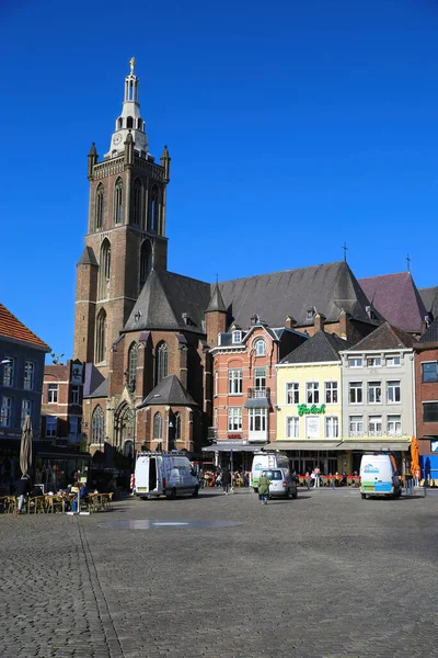 Roermond Hollanda Şubat 2022 Mavi Gökyüzüne Karşı Ortaçağ Katedrali Olan — Stok fotoğraf