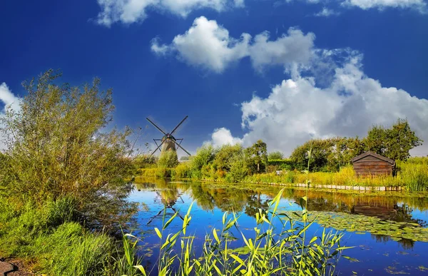 Zicht Typisch Idyllisch Hollands Landschap Met Rietgras Bomen Windmolen Oud — Stockfoto