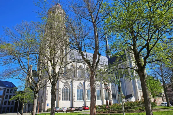 Lier Sint Gummaruskerk België April 2022 Zicht Gotische Romeinse Katholieke — Stockfoto