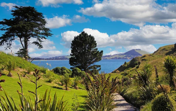 Beautiful Scenic Hiking Trail Path Green Landscape Sea Lagoon Fluffy — стоковое фото