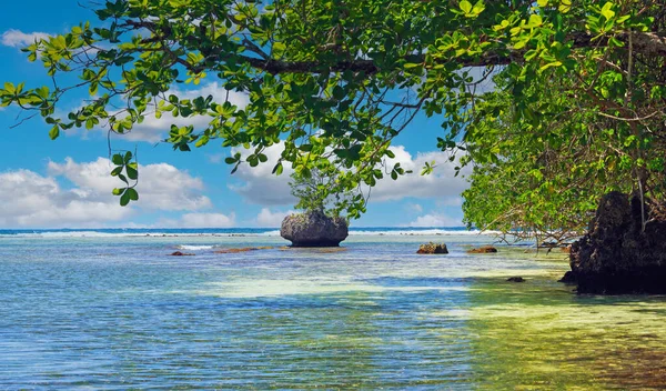 Beautiful Caribbean Tropical Landscape Secluded Reef Lagoon Green Mangrove Trees — стокове фото