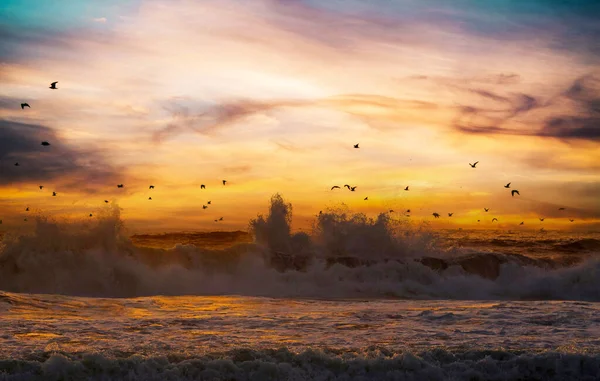 Прекрасний Мальовничий Краєвид Узбережжя Океану Оранжеві Вечірні Хмари Неба Зграя — стокове фото