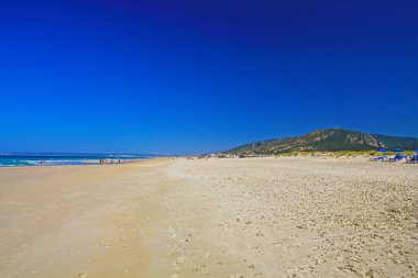 Güzel Atlantik Okyanusu boş doğal kumsal, tepeler, bulutsuz mavi gökyüzü Zahara de los Atunes, Costa de la Luz, İspanya
