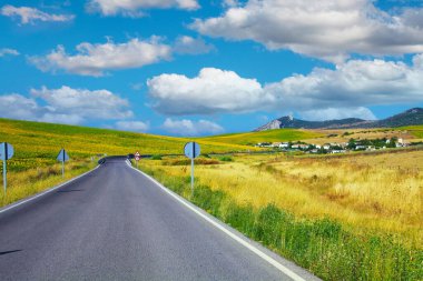 Güzel sakin kırsal alan, sarı ayçiçeği tarlası, İspanyol köyü, boş kıyı yolu, tepeler, mavi gökyüzü kümülüs bulutları - Zahara de los Atunes bölgesi, Costa de la Luz, İspanya