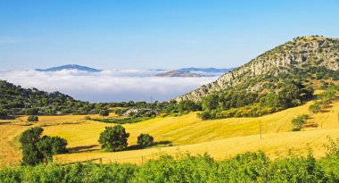 Güzel kırsal yeşil manzara vadisi, zeytinlik, tepeler, alçak sabah bulutları denizi tarım alanları, Axarquia, Montes de Malaga, İspanya